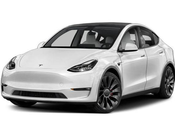 TESLA MODEL Y 2021 5YJYGDEE5MF261822 image